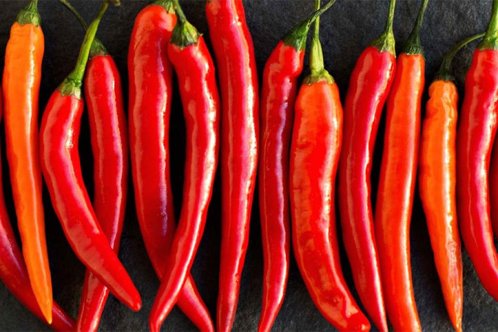 Chili & Wok Ingelsta